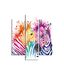 Homemania Wandafbeelding, zebra, 3-delig, dieren, woonkamer, slaapkamer, meerkleurig, 57 x 0,3 x 60 cm, HM203MDF96, MDF