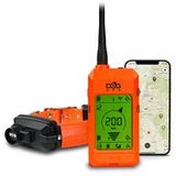 SportDOG Petsafe trainingshalsband, oplaadbaar, 800 m, oranje