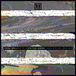 From Low Life - From Squats To Lots: The Agony And The XTC Of Low Life (LP) (Coloured Vinyl) (Deluxe Edition)