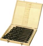 Brokasset Holzmann Maschinen SPSMK2 HSS Metaal-spiraalboorset 10-delig MK2