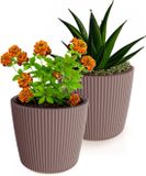 Prosperplast Plantenpot/bloempot Buckingham - 2x - buiten/binnen - terra - D17 x H15 cm