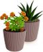 Prosperplast Plantenpot/bloempot Buckingham - 2x - buiten/binnen - terra - D17 x H15 cm