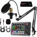 APO Electronics Podcast Starterspack Condensator XLR Microfoon met Boom Arm Streaming Deck DJ Mixer