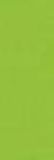 Folia Fotokarton vert clair 50X70-300G