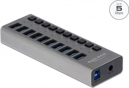 Delock USB 3.0 Hub - 10 Poorten - Met Aan/Uit Schakelaars - Grijs