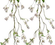 Everlands Kunstbloem/bloesem takken slingers - 3x - wit/roze - 130 cm