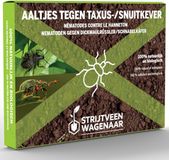 Strijtveen & Wagenaar Aaltjes tegen Taxuskever en Snuitkever 25m²