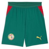 PUMA Sportbroek 'Senegal' geel / donkergroen / rood