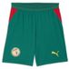 PUMA Sportbroek 'Senegal' geel / donkergroen / rood