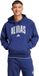 adidas Sportswear Collegiate Hoodie - Heren - Blauw