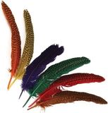 Rayher hobby materialen Rayher hobby sierveren met stippen - multi kleuren - 24x stuks - 17 tot 22 cm - veertjes
