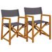 vidaXL Regisseursstoelen, 2 stuks, inklapbaar, stof, donkergrijs