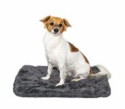 Pakket Super Soft vloermatten grijs 62x50cm set van 2