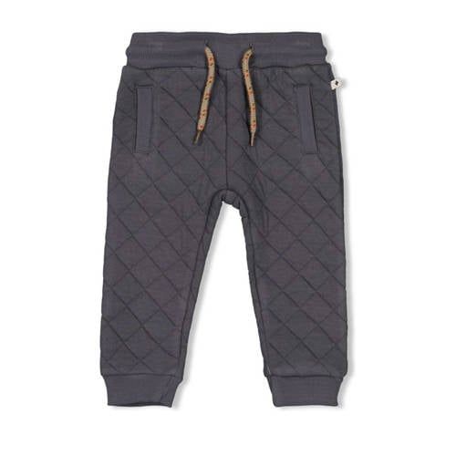 Feetje regular casual broek grijs