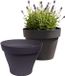 EDA Romeo Pot de fleurs / pot de plantes - 2x - plastique - anthracite - D25 x H20 cm - intérieur et extérieur
