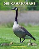 Die Kanadagans: Feuchtgebiete, Vogelzug und Familienleben entdecken