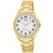 Q&Q C04A-001PY - Montre-bracelet - Analogique - Hommes - Doré