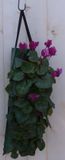 Warentuin Natuurlijk Hangzak met cyclamen eenjarige mix