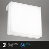 Briloner Aniani - Set van 2 Spiegellampen - spiegelverlichting badkamer - neutral wit licht 4.000K - 6W - 600 Lm - chroom - 8x8x3.5 cm