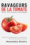 Ravageurs de la tomate dans les Niayes (Sénégal): Gestion intégrée de la noctuelle et de la mineuse des feuilles
