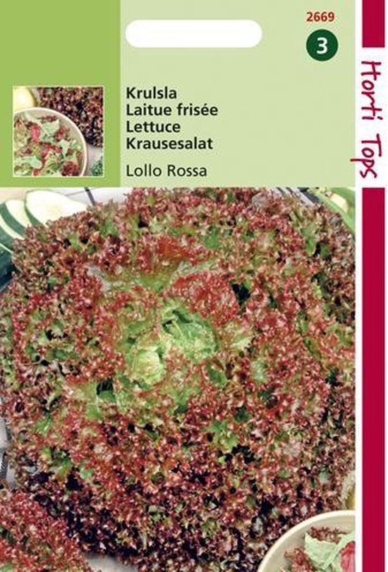 Hortitops Krulsla Lollo Rossa Zaden