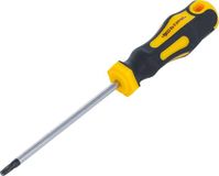 BGS Schroevendraaier - Torx T20 - Meslengte 100 mm