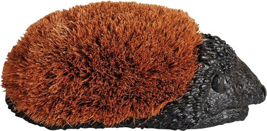 Best for Boots Schoenborstel egel klein - 8714982003882