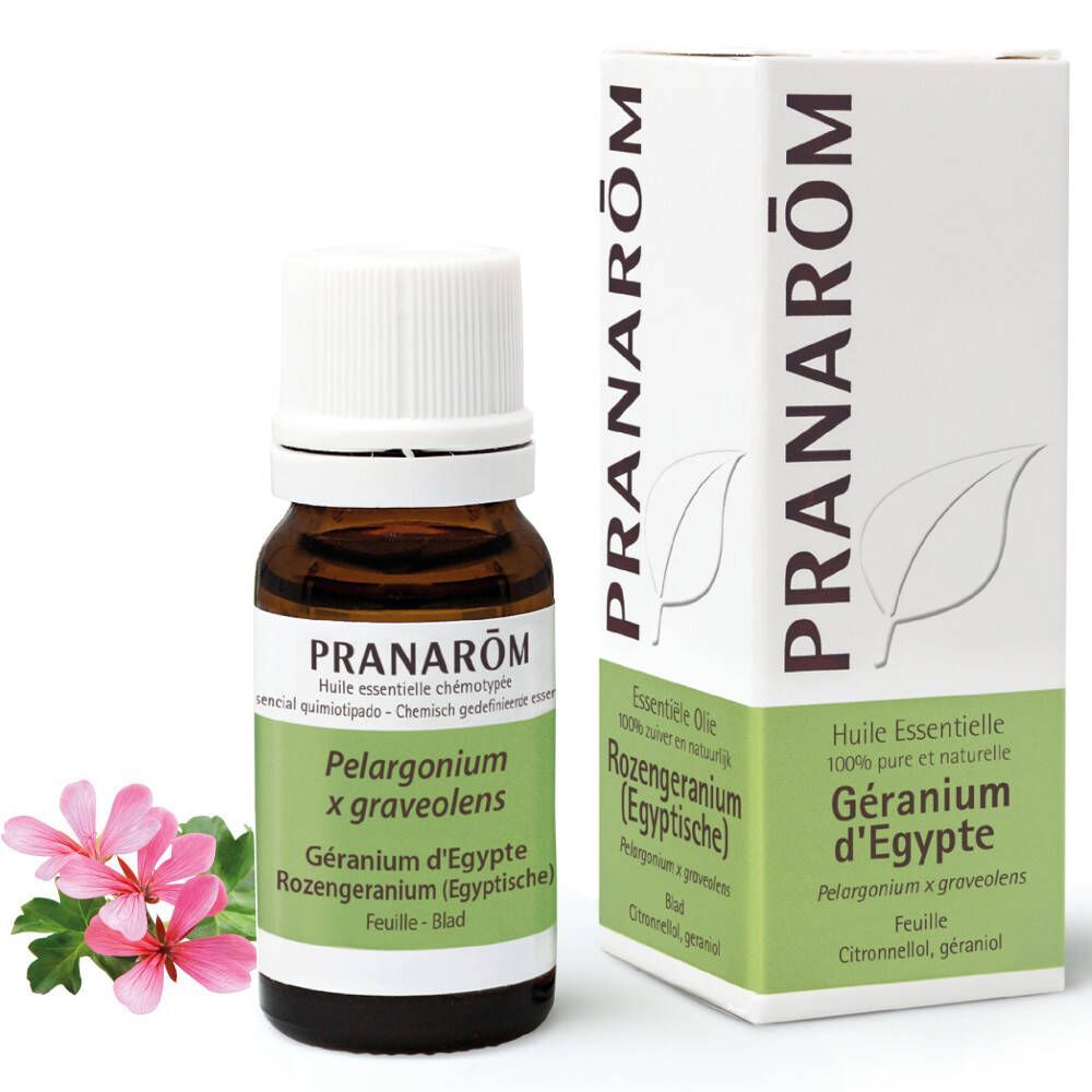 Pranarôm Pranarôm Essentiële Olie Geranium Egypte 10 ml