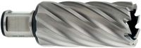 Metabo Boorkroon, diameter 18 mm