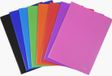 Exacompta SHOWALBUM MET VASTE RUG - PP -50 TASSEN - P100 ZICHTEN - A4