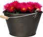 Mega Collections Plantenpot/bloempot - zink - donkergrijs - D27 x H15 cm