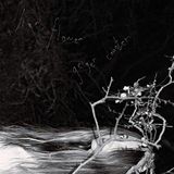 Konkurrent Liar, Flower Geiger Counter (CD)