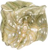 PURELEI Haarspeld Seashell Groen