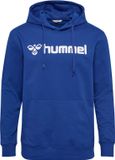 Hummel Sweat à capuche homme coupe normale molleton capuche poche logo
