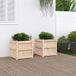 Maison Exclusive - Jardinières, 2 pièces, bois massif, pin