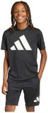 Adidas Train Essentials Big Logo T-shirt Kinderen Zwart/Wit 15-16 Jaar