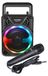Enceinte sans fil mini enceinte - Bluetooth - Éclairage RVB - 125 x 125 x 180 mm - Microphone