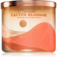 Bath & Body Works Cactus Blossom