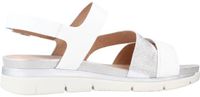 STONEFLY ELODY 14 NAPPA LTH/GLITTER Blanc 37 EU