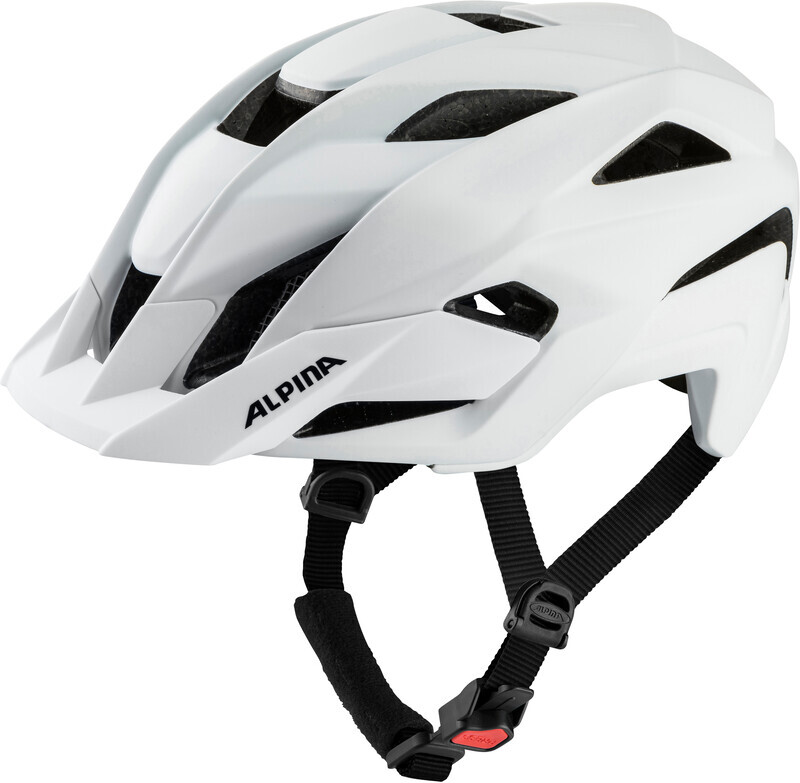 Alpina Kamloop Helmet
