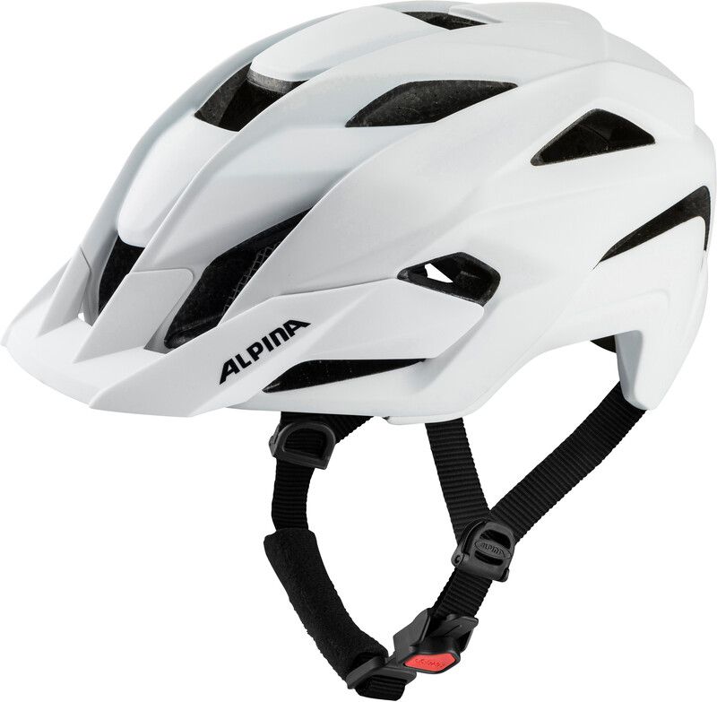 Alpina Kamloop Helmet - 4003692309921