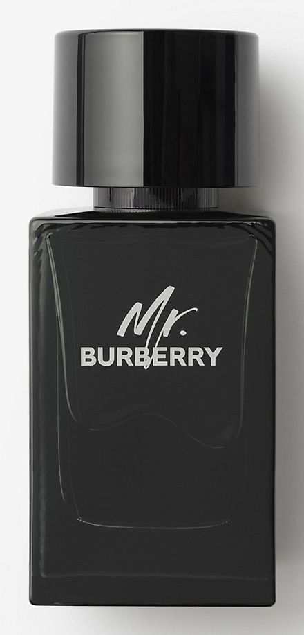 Burberry Eau de Parfum / 100 ml / Mannen