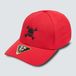 Oakley Heren Scatter Skull Ff Hat