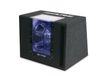 Alpine SBG-1244BR Zwart 250 W
