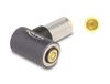 DeLOCK 80792 Adaptateur pour connecteur d'alimentation - Prise DC 7,9 x 5,5 mm (mâle) vers connecteur magnétique à 8 broches - 20 V - 3 A - Gris