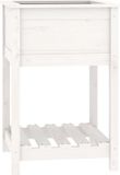 vidaXL Plantenbak met schap 54x54x81 cm massief grenenhout wit