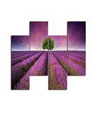 Homemania Afbeelding violet-4 natuur en landschappen per woonkamer, meerkleurig, 76 x 0,3 x 50 cm, HM204PMDF210, MDF