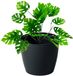 Lamela Magnolia - Decoratieve Plantenpot - Zwart - 18x16cm - UV-bestendig