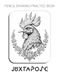 Pencil Juxtapose Pencil Drawing Practice Book - Mastering Ornamental Wildlife, Fantastical Avian Textures, and Technical Graphite Portraiture