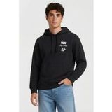 Levi's Relaxed Graphic Hoodie